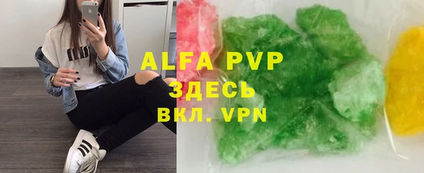 гидра Богородицк