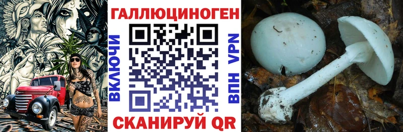 Галлюциногенные грибы Psilocybine cubensis ОМГ ОМГ онион Новый Уренгой